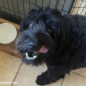 Meet your Posher, Aj